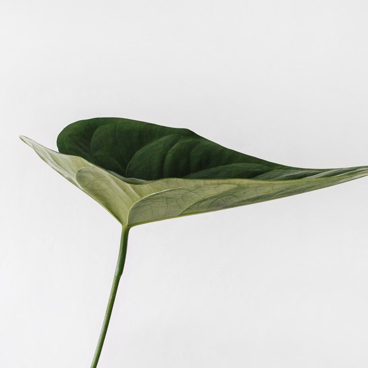 Sarah Dorweiler 9Z1krifpbtm Unsplash